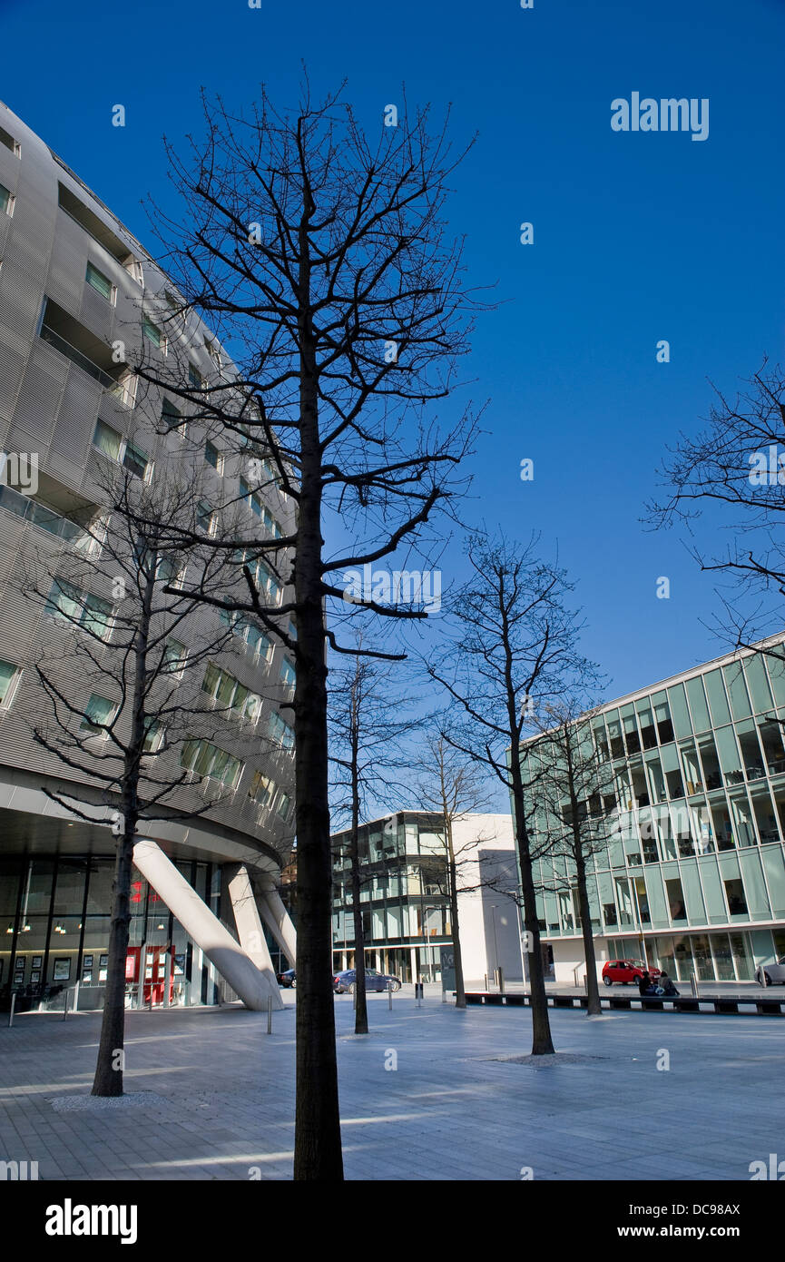 Albion Riverside Luxus Apartment-Wohnhaus entworfen von Foster & Partners in 8 Hester Road, Battersea, London, UK Stockfoto