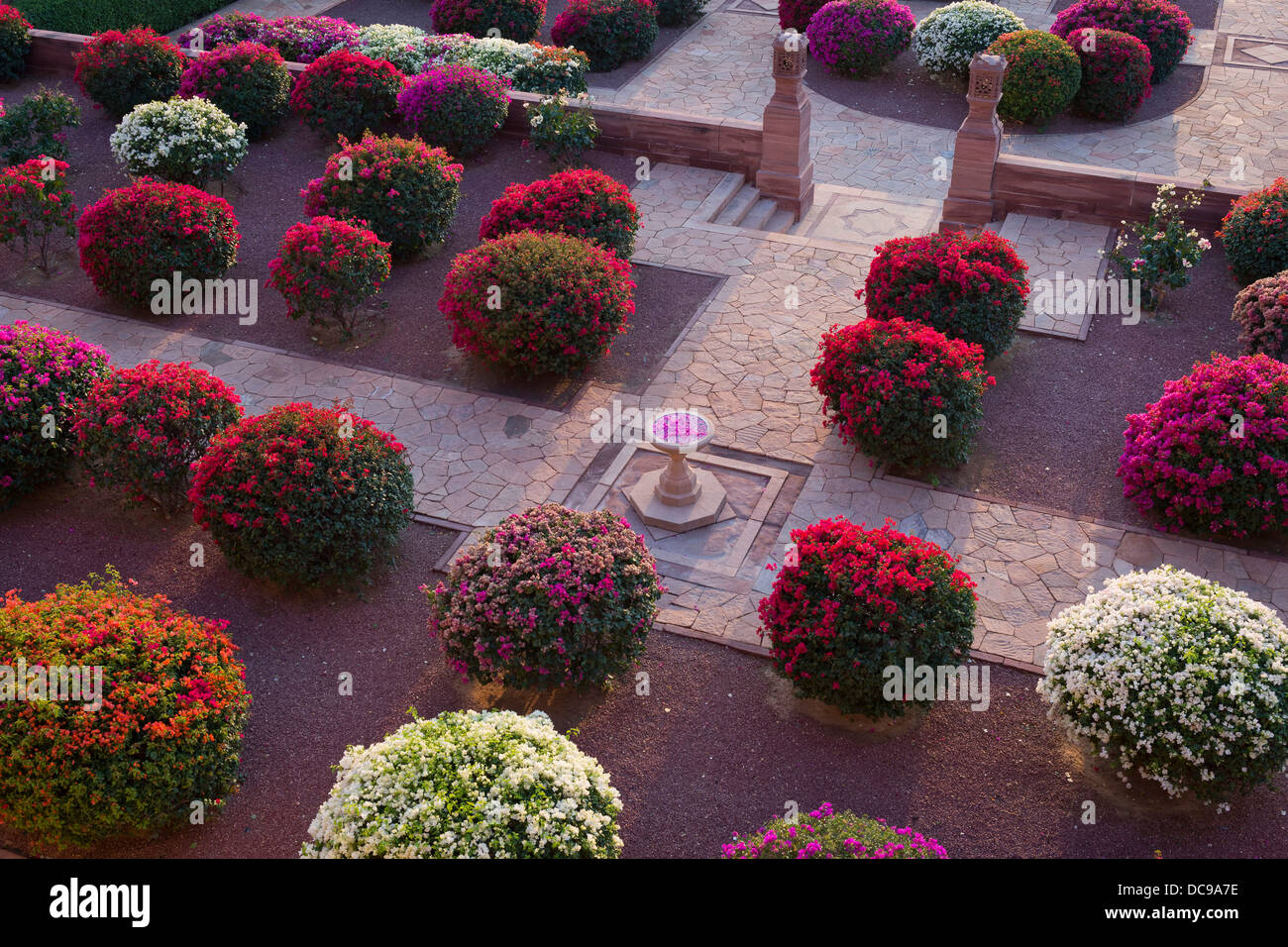 Gärten mit bunten Bougainvillea Büsche, Palace Hotel Umaid Bhawan Palace Stockfoto