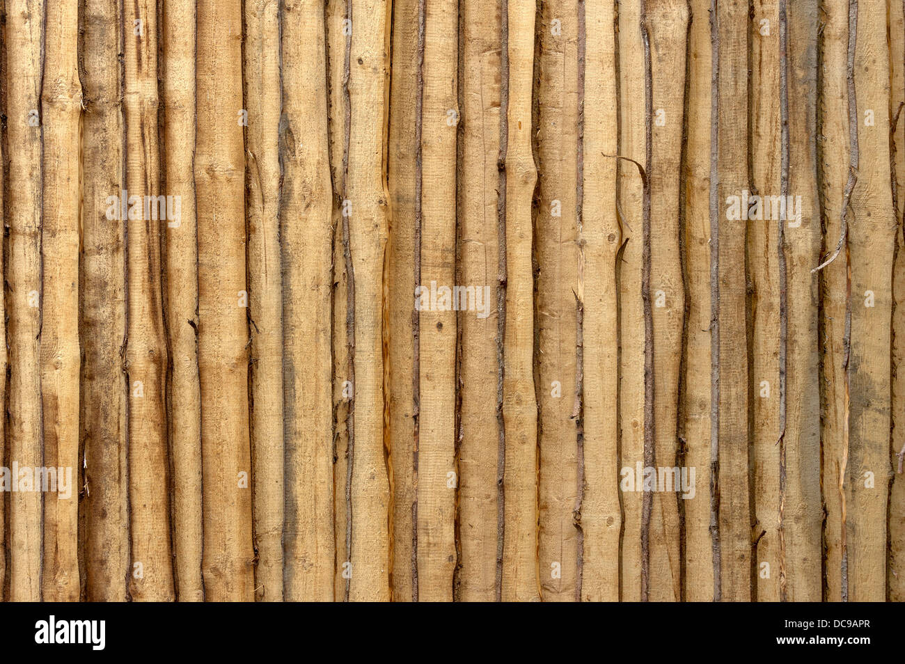 Holzwand aus unbehandelten groben Brettern Stockfoto