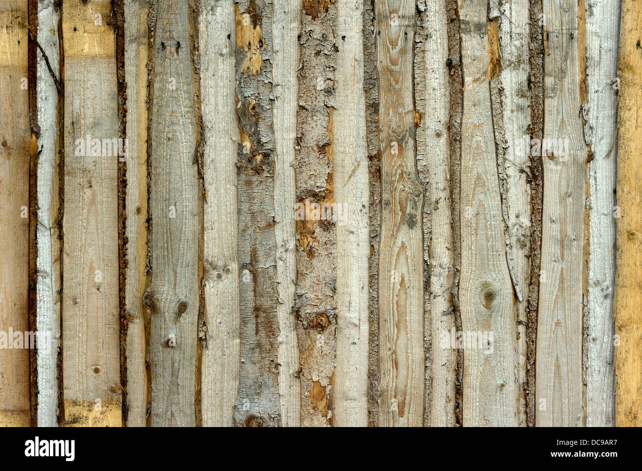 Holzwand aus den alten unbehandelten grauen Brettern Stockfoto