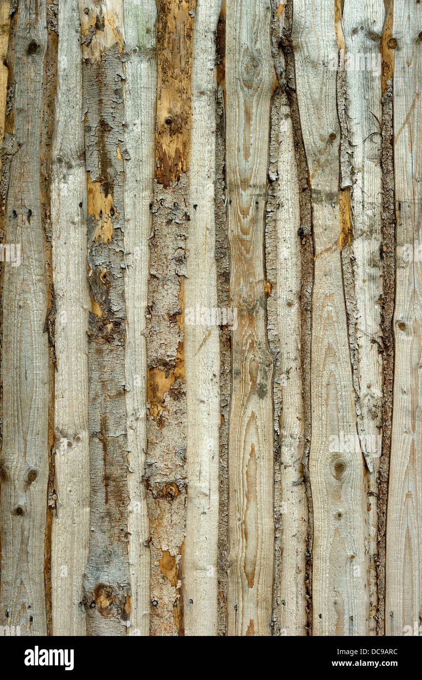 Holzwand aus den alten unbehandelten grauen Brettern Stockfoto