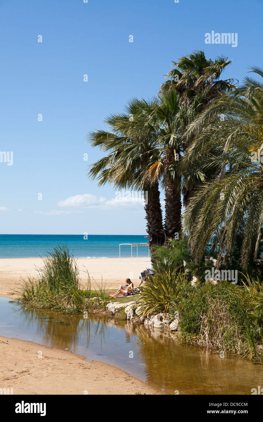 Oase am Strand an Cambrils Katalonien Stockfoto