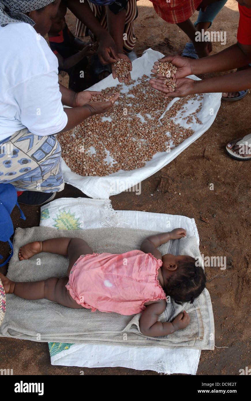 Ein Betreuer ein Kind schläft, während Frauen Bohnen Nachbarschaft Care Centre (NKS) im Kamkhweli Bereich Swasiland November 2007 sortieren Stockfoto