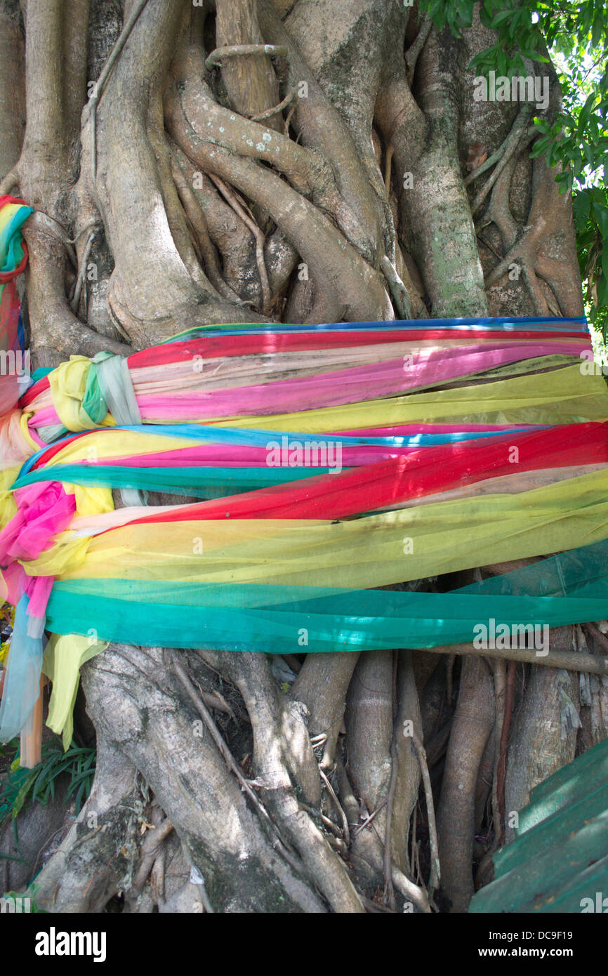 Gut Glück Girlanden und Bänder an alte Thai Geist Baum zur Abwehr von bösen Dinge gebunden Stockfoto