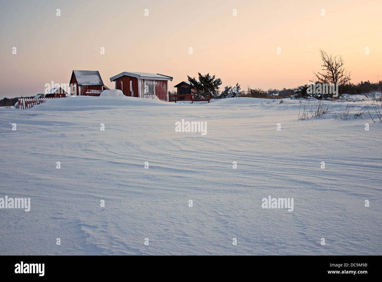 Schnee-Muster Stockfoto