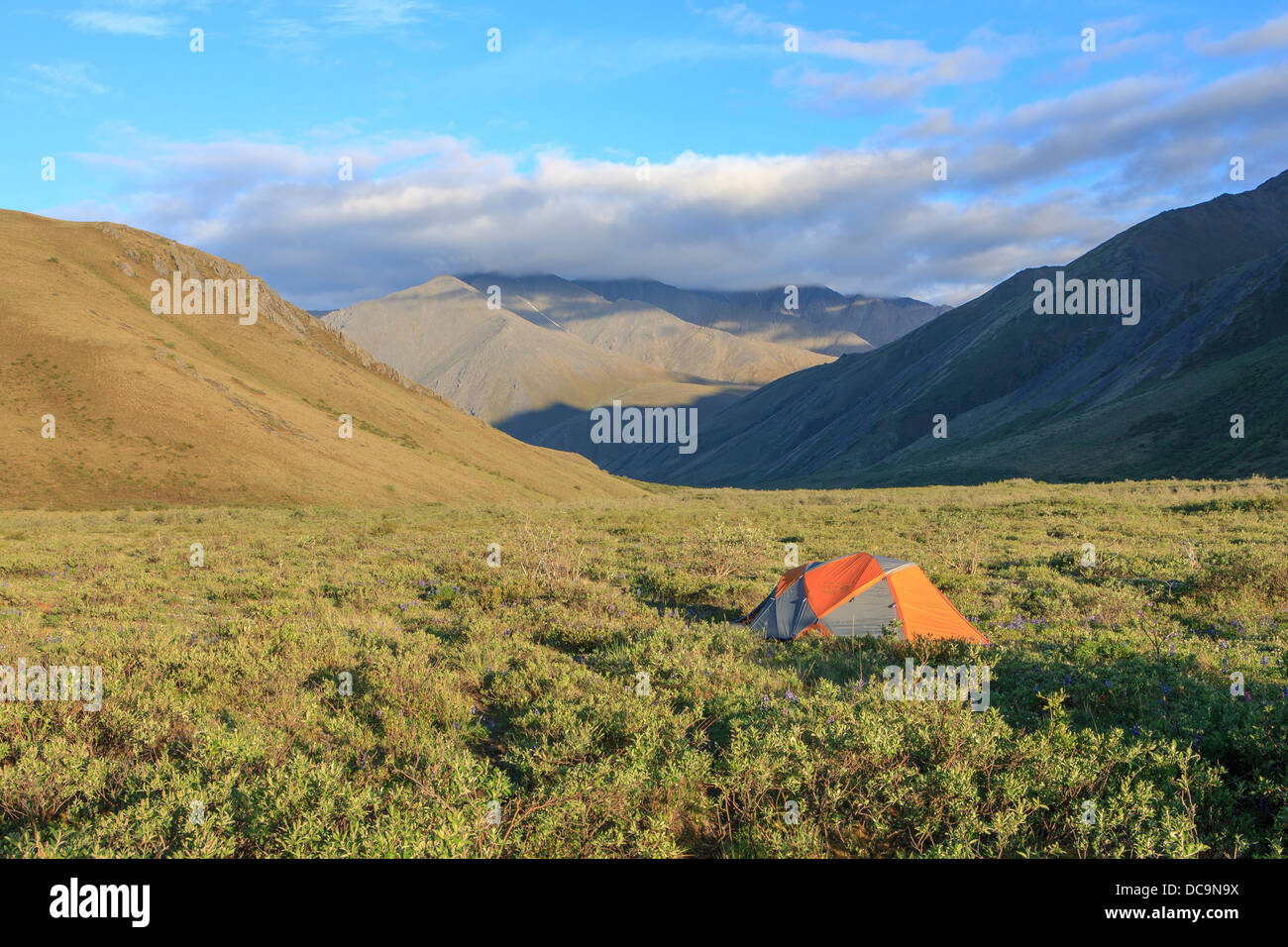 Entlang der Kongakut. Arctic National Wildlife Refuge. Alaska. Stockfoto