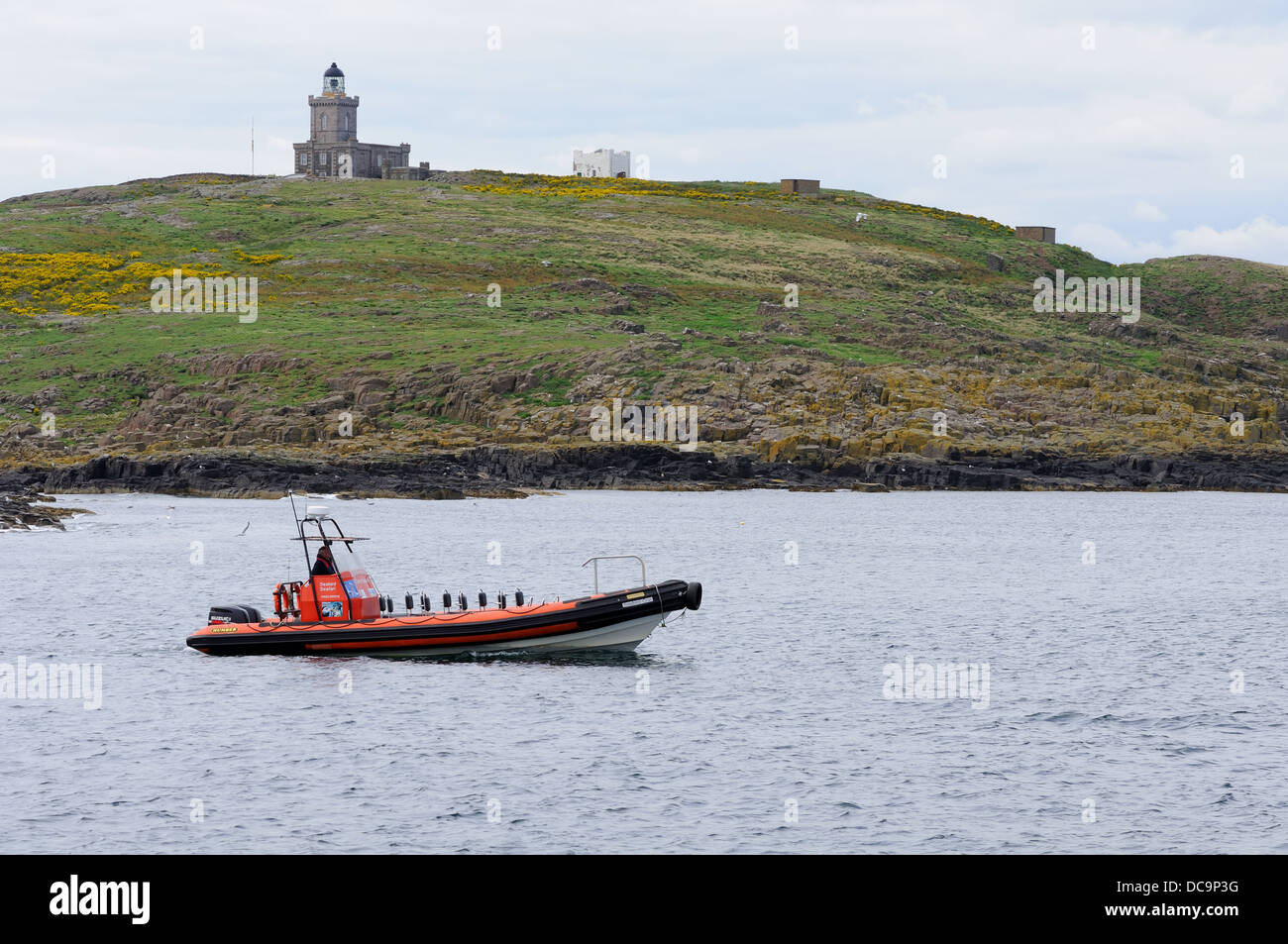 Ein RHIB liegt vor der Küste der Isle of May, Schottland. Stockfoto