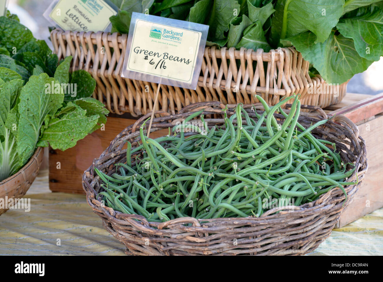Grüne Bohnen auf Anzeige an einen Kreditor, s-Stand auf der Walllowa County Farmers Market, Oregon. Stockfoto