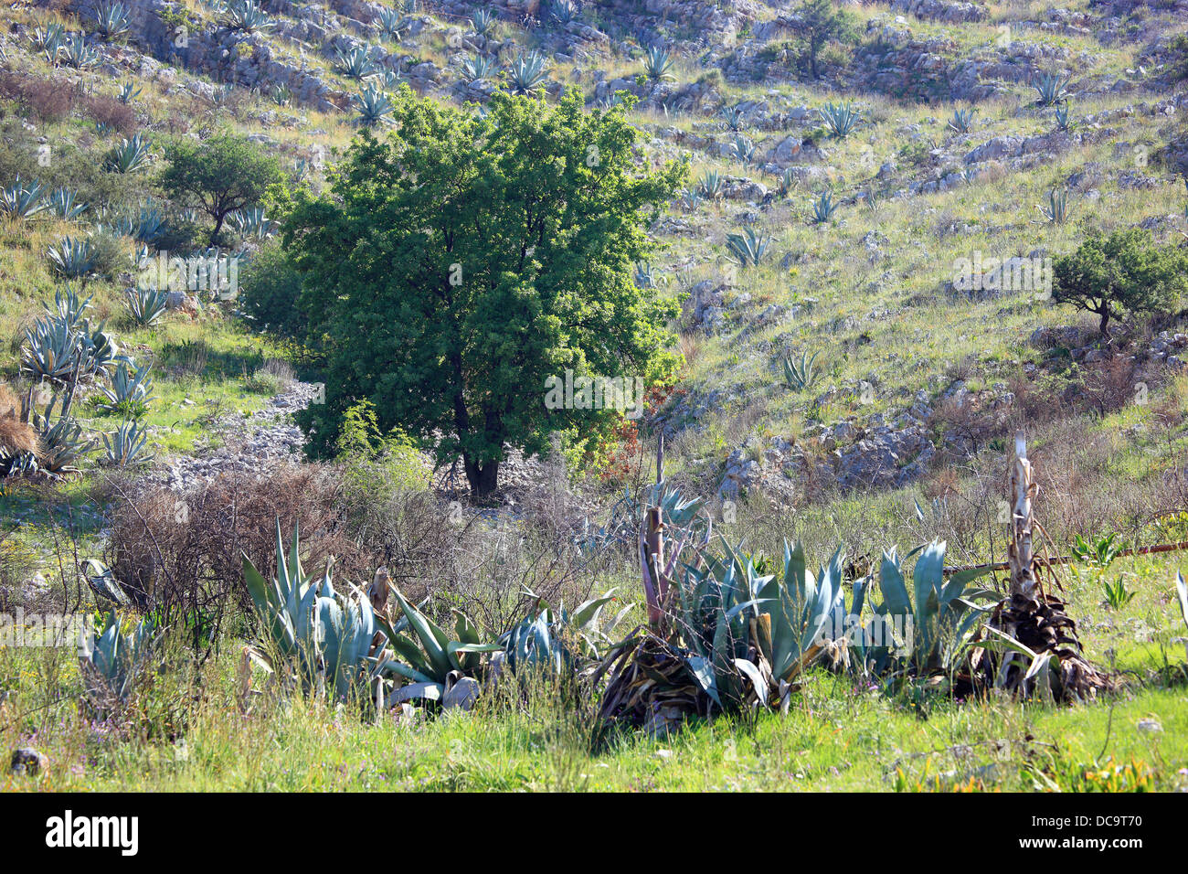 Landschaftlich in die Bucht von Porto Palermo zwischen Qeparo und Himare, Ionisches Meer, südlich von Albanien Stockfoto