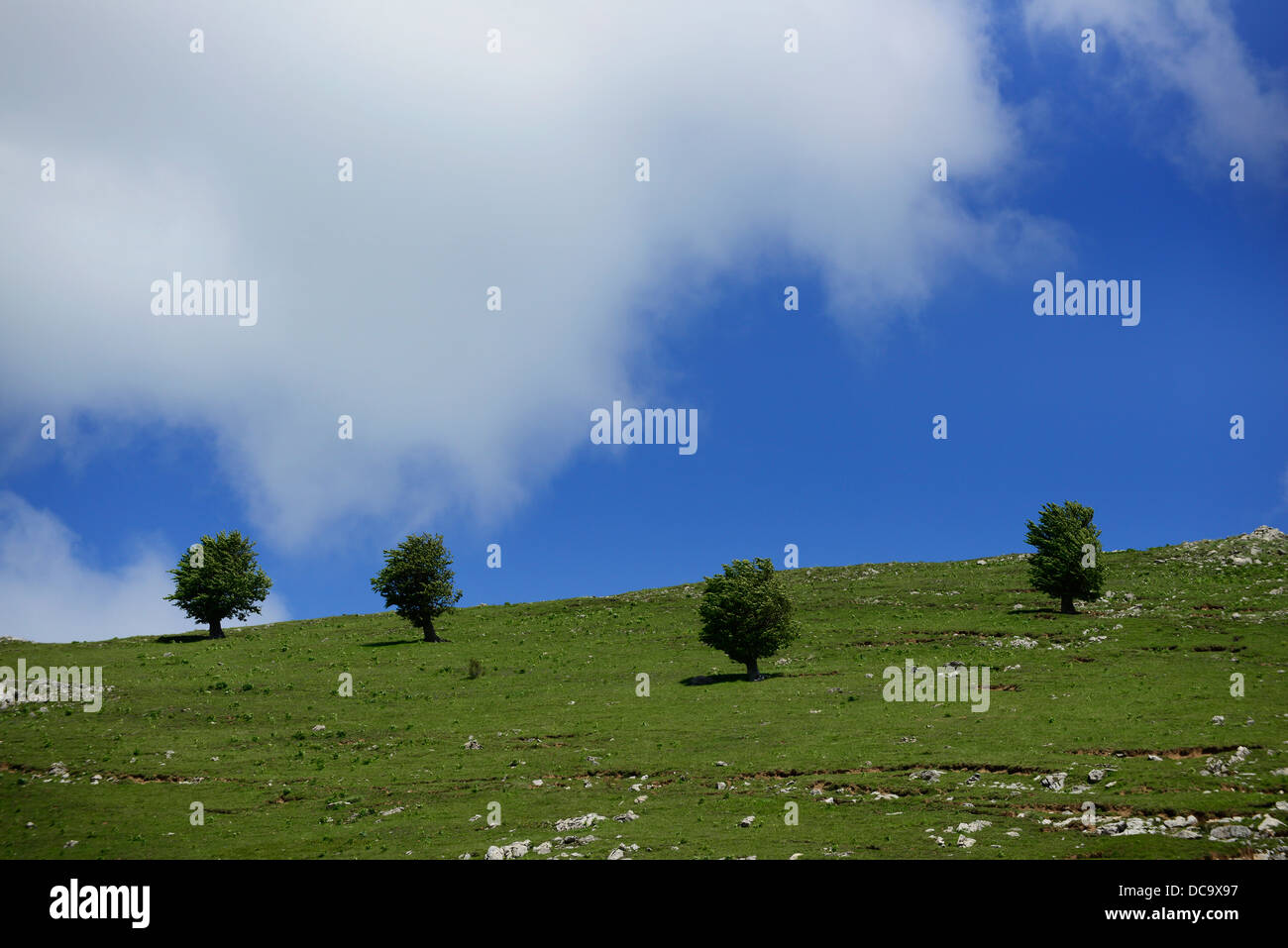 Schöne Landschaften im Dinarischen Gebirge in Bosnien. Stockfoto