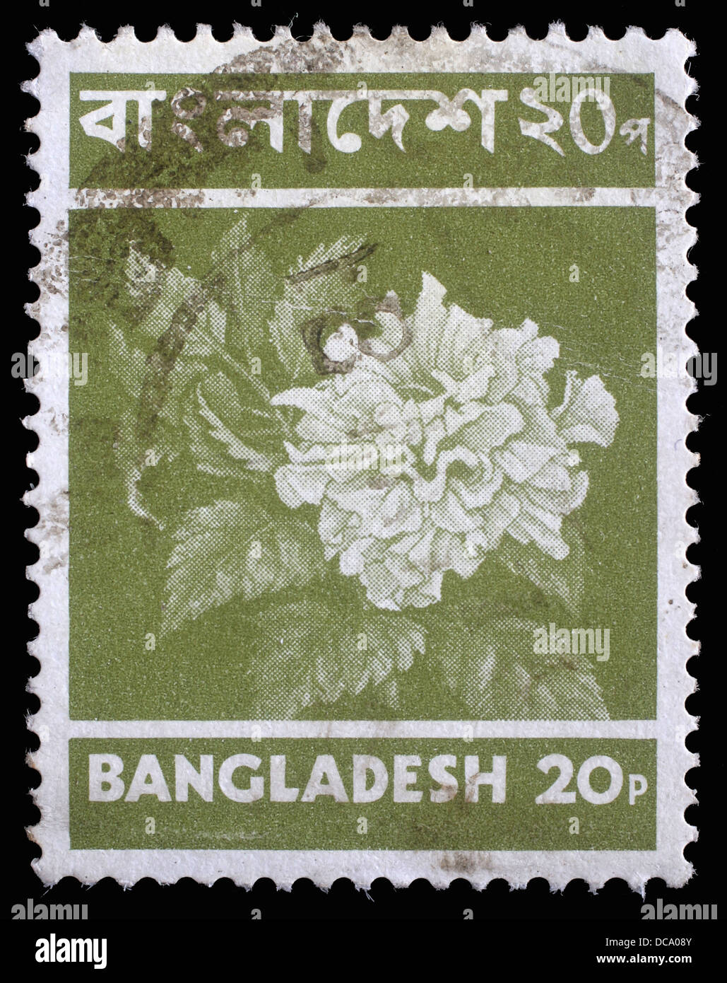 Bangladesch - CIRCA 1970: Briefmarke gedruckt in Bangladesch zeigt Blume, ca. 1970 Stockfoto