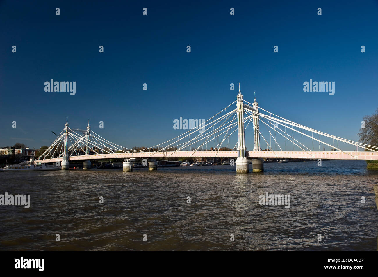 Albert Bridge an der Themse, London, UK Stockfoto