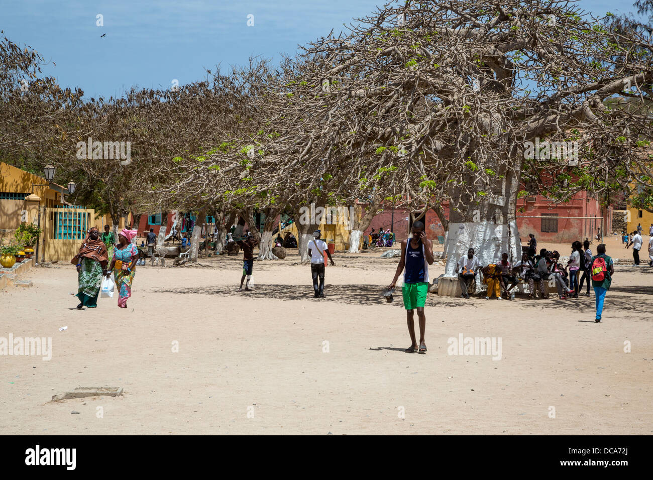 Goree Island, Senegal. Eine große Baobab spendet Schatten. Stockfoto