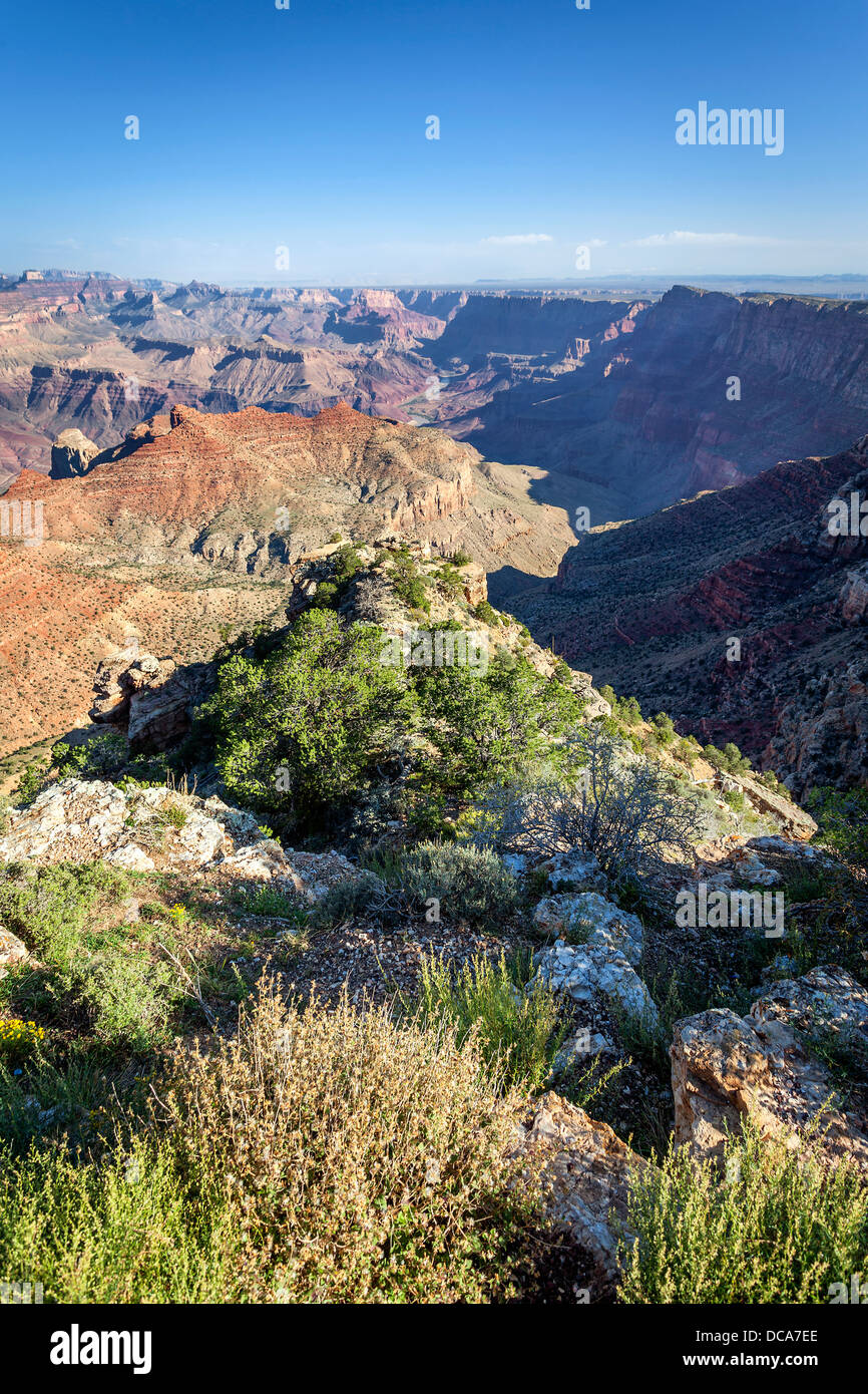 Vertikale Ansicht des Grand Canyon, Arizona, USA Stockfoto