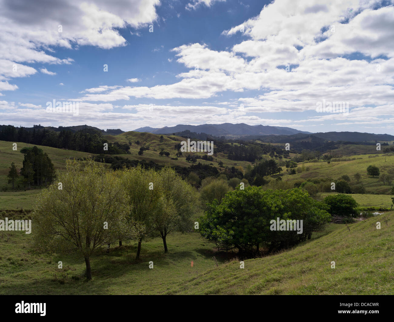 dh NORTHLAND Neuseeland Herekareao Berglandschaft Tal Stockfoto