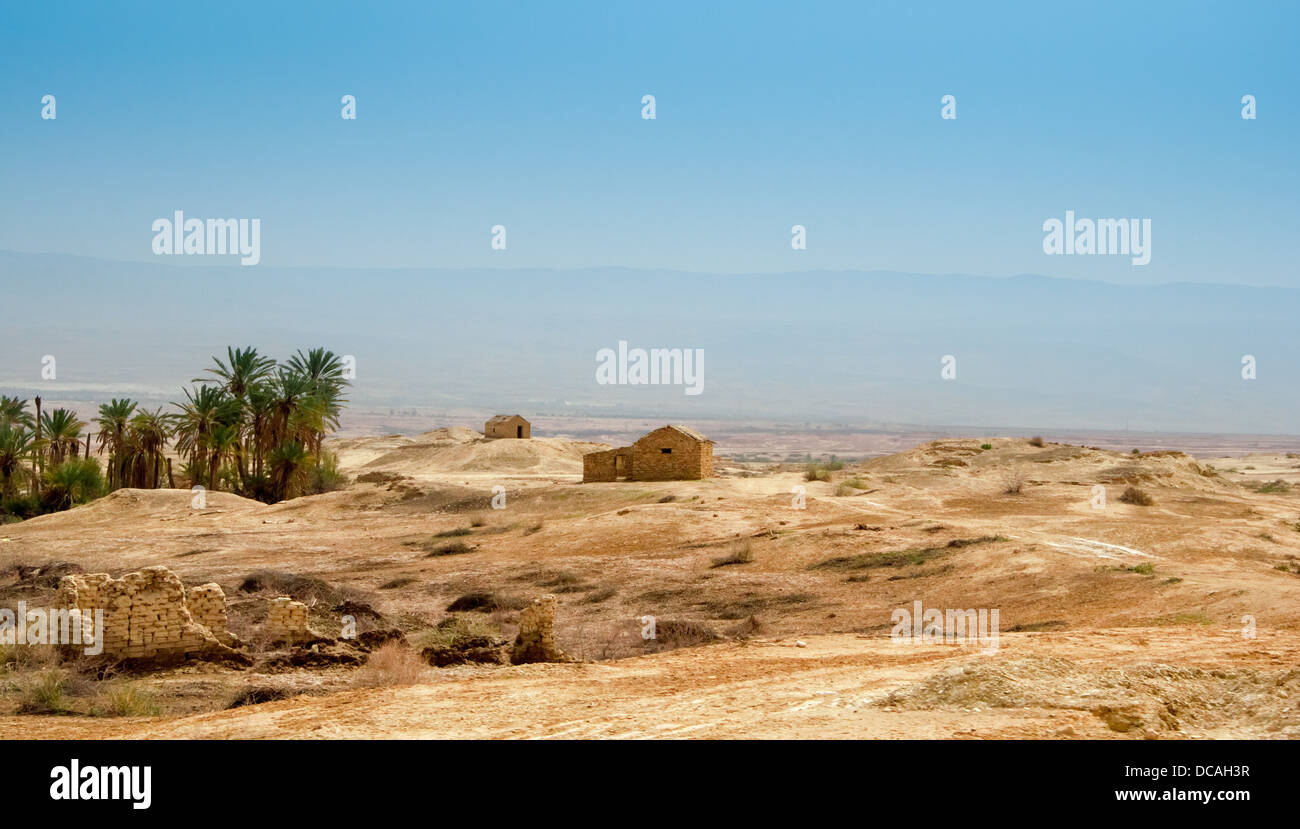 Schutz und Palm Tree in der Judäischen Wüste Stockfoto