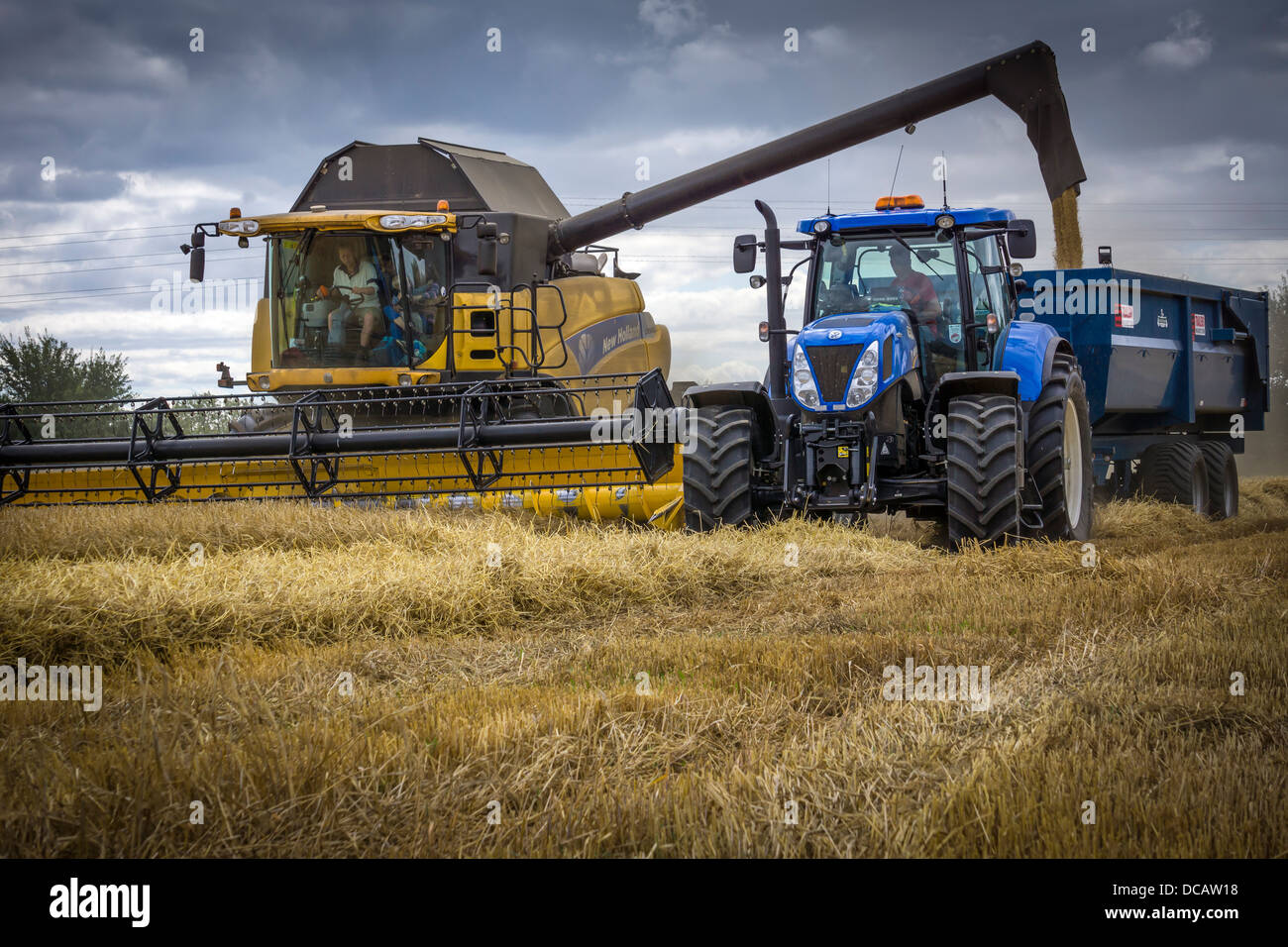 Mähdrescher bei der Arbeit Stockfoto