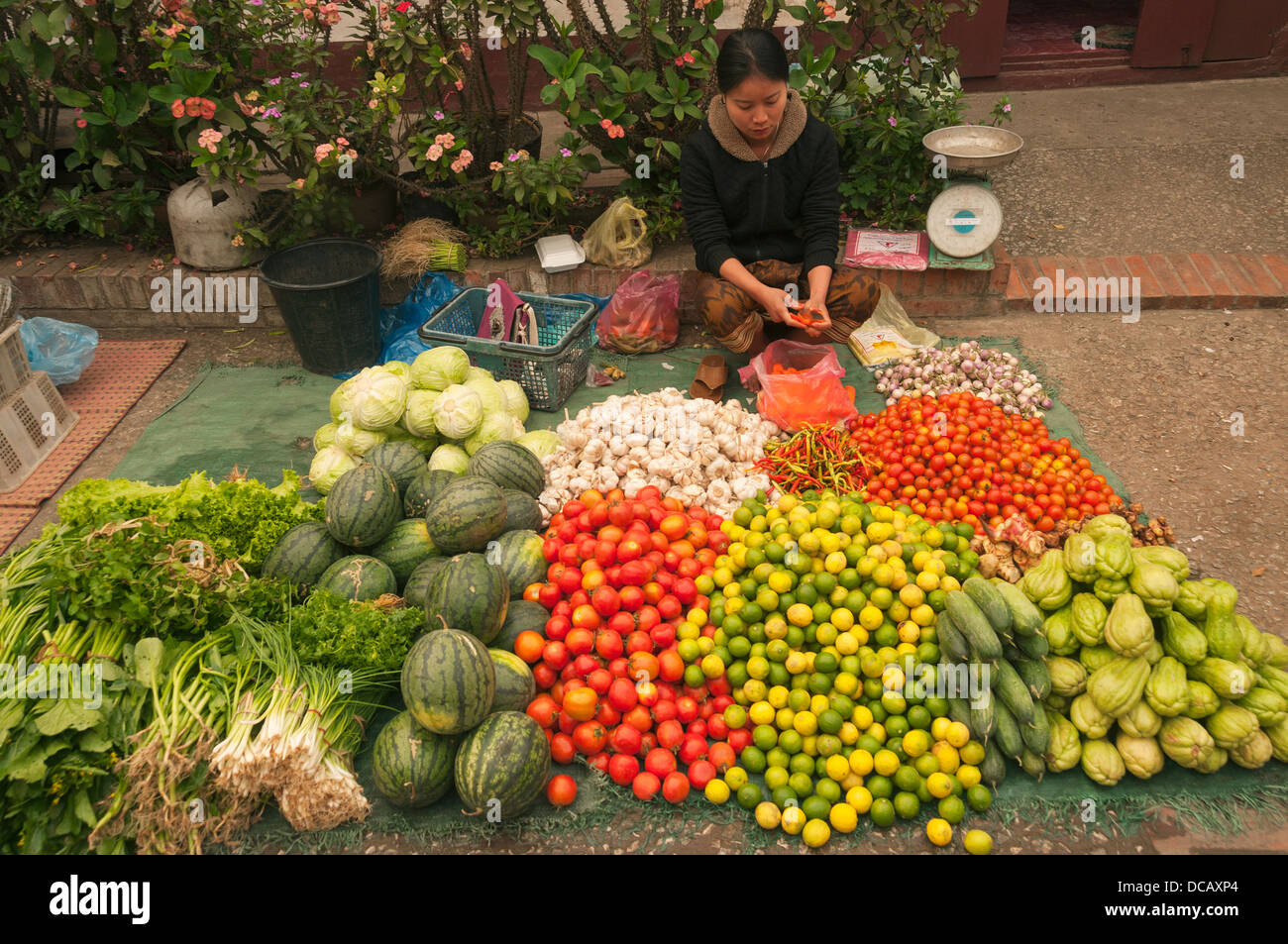 Elk209-1154 Laos, Luang Prabang, Gemüsemarkt Stockfoto