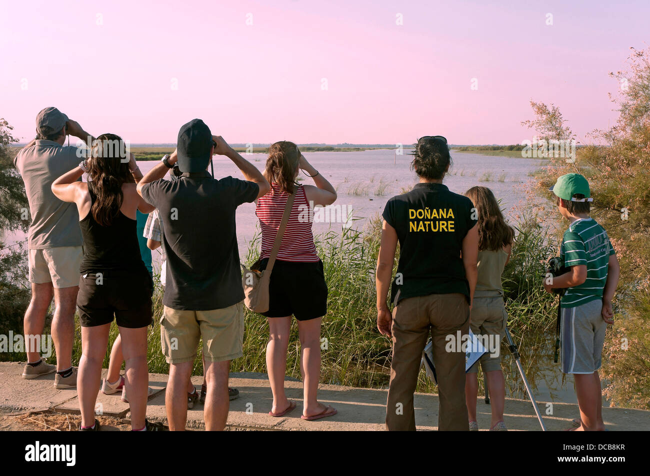 "Caño del Guadiamar" Sümpfe und Touristen, Naturpark Donana, Huelva, Region von Andalusien, Spanien, Europa Stockfoto