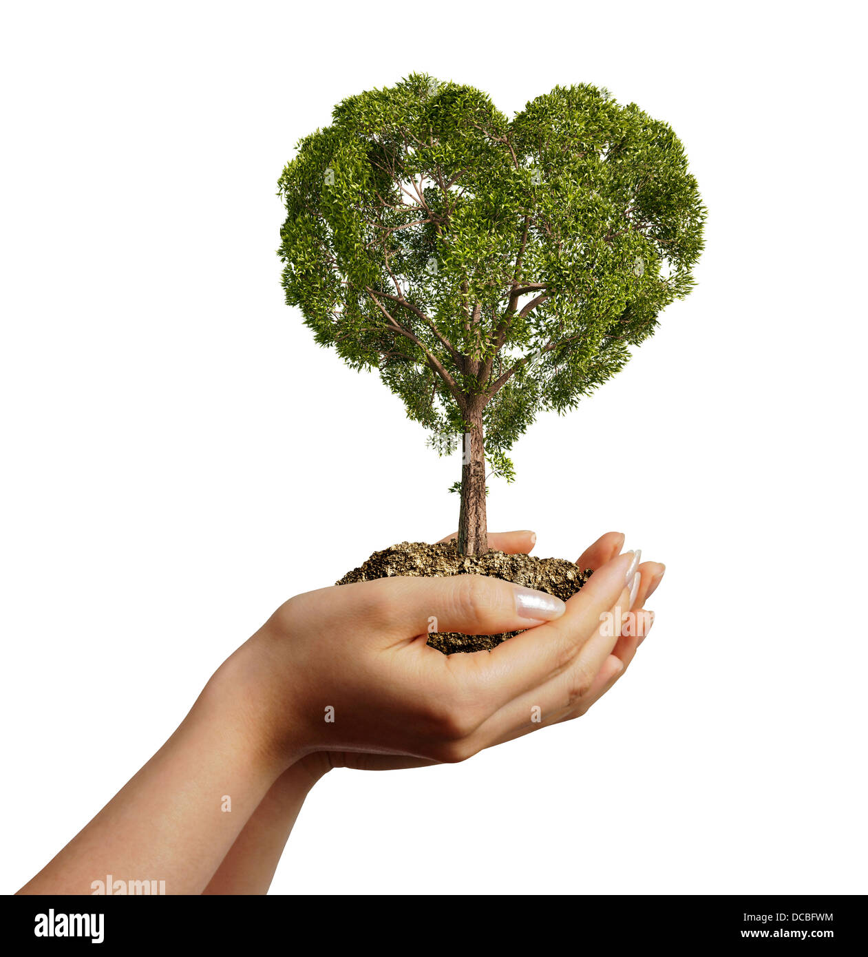 Frauenhand Boden mit einer herzförmigen Baum halten. Von einer Seite auf weißem Hintergrund betrachtet. Stockfoto