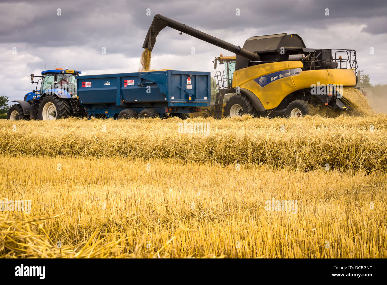 Mähdrescher bei der Arbeit Stockfoto