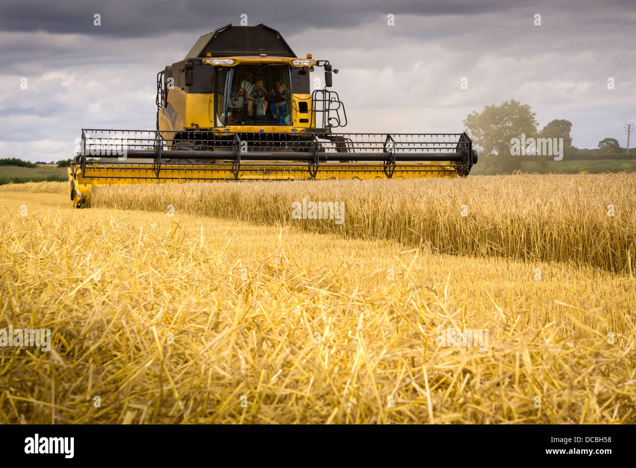 Mähdrescher bei der Arbeit Stockfoto