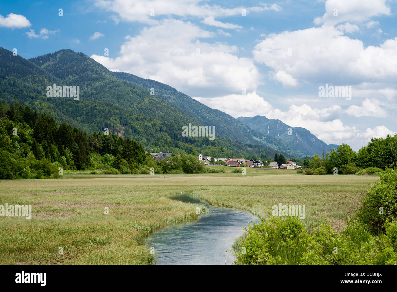Quelle des Flusses Sava, Slowenien. Stockfoto