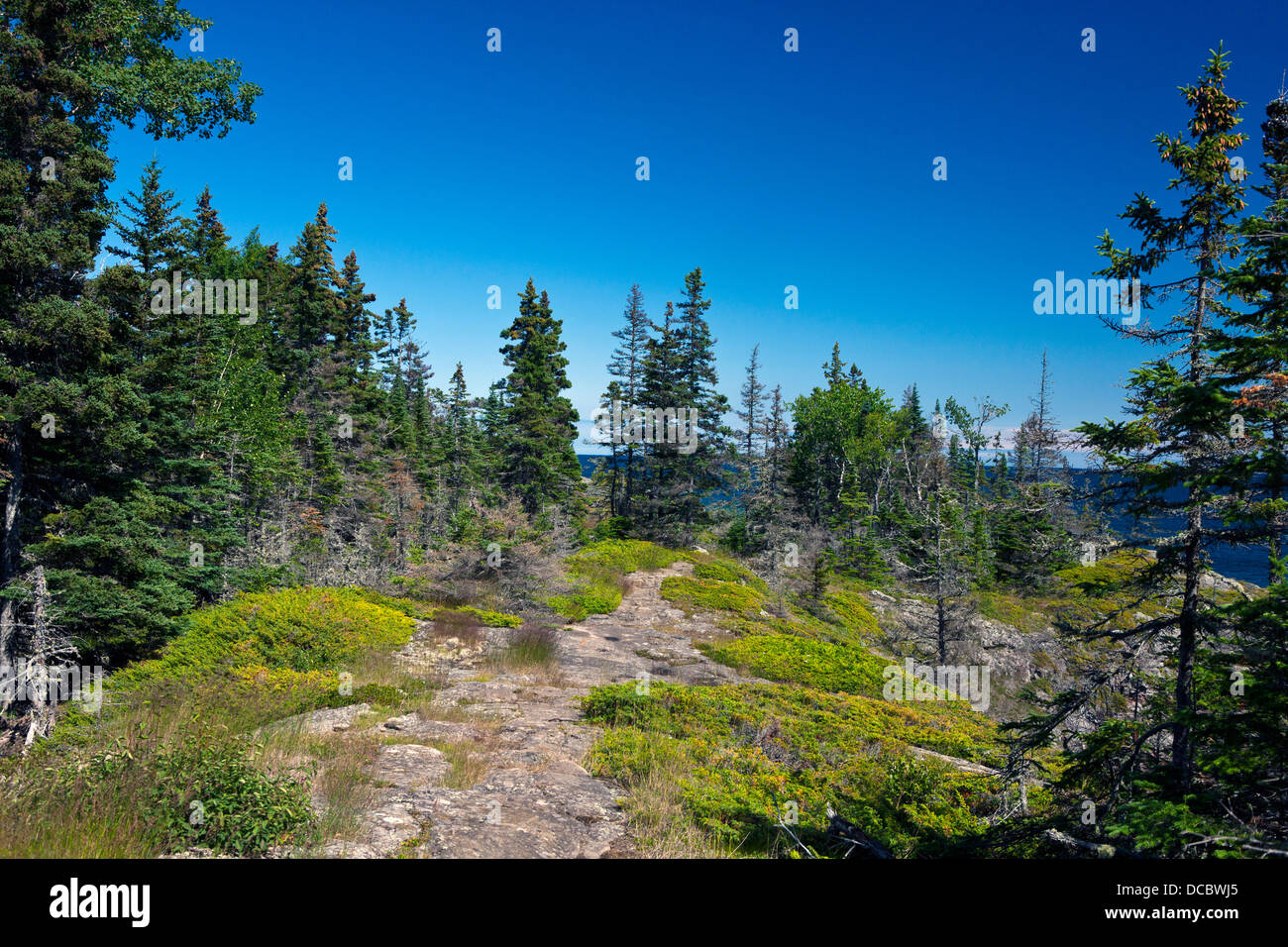 Rocky Wandern Wanderweg, Stoll Memorial Trail, Isle Royale National Park, Michigan, Vereinigte Staaten von Amerika Stockfoto