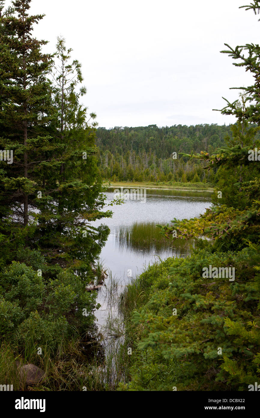 Versteckten See, Isle Royale National Park, Michigan, Vereinigte Staaten von Amerika Stockfoto