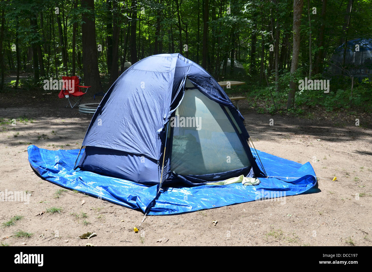 Campingplatz mit Zelt unter Bäumen Stockfoto