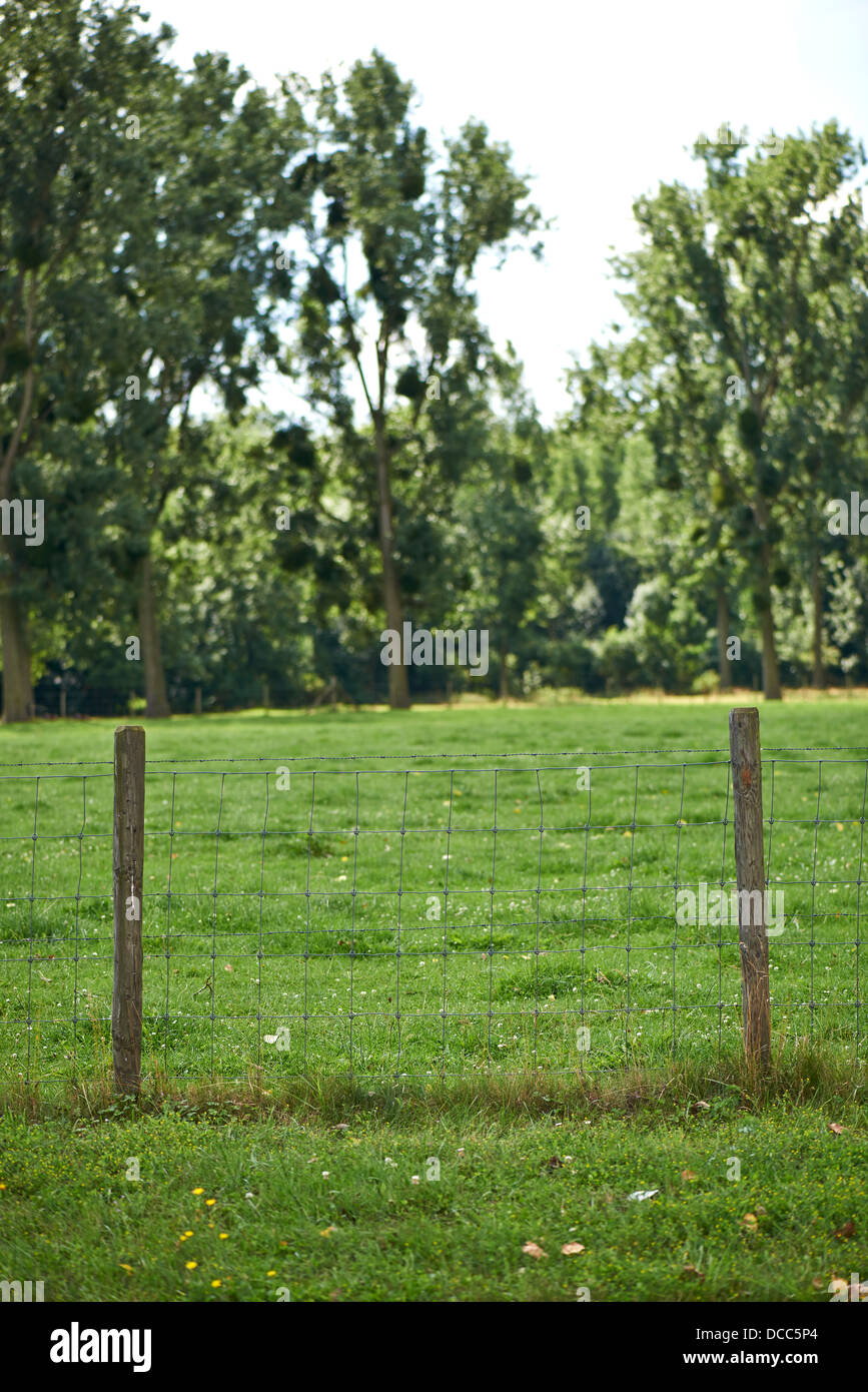 Zaunpfahl und Wiesen Stockfoto