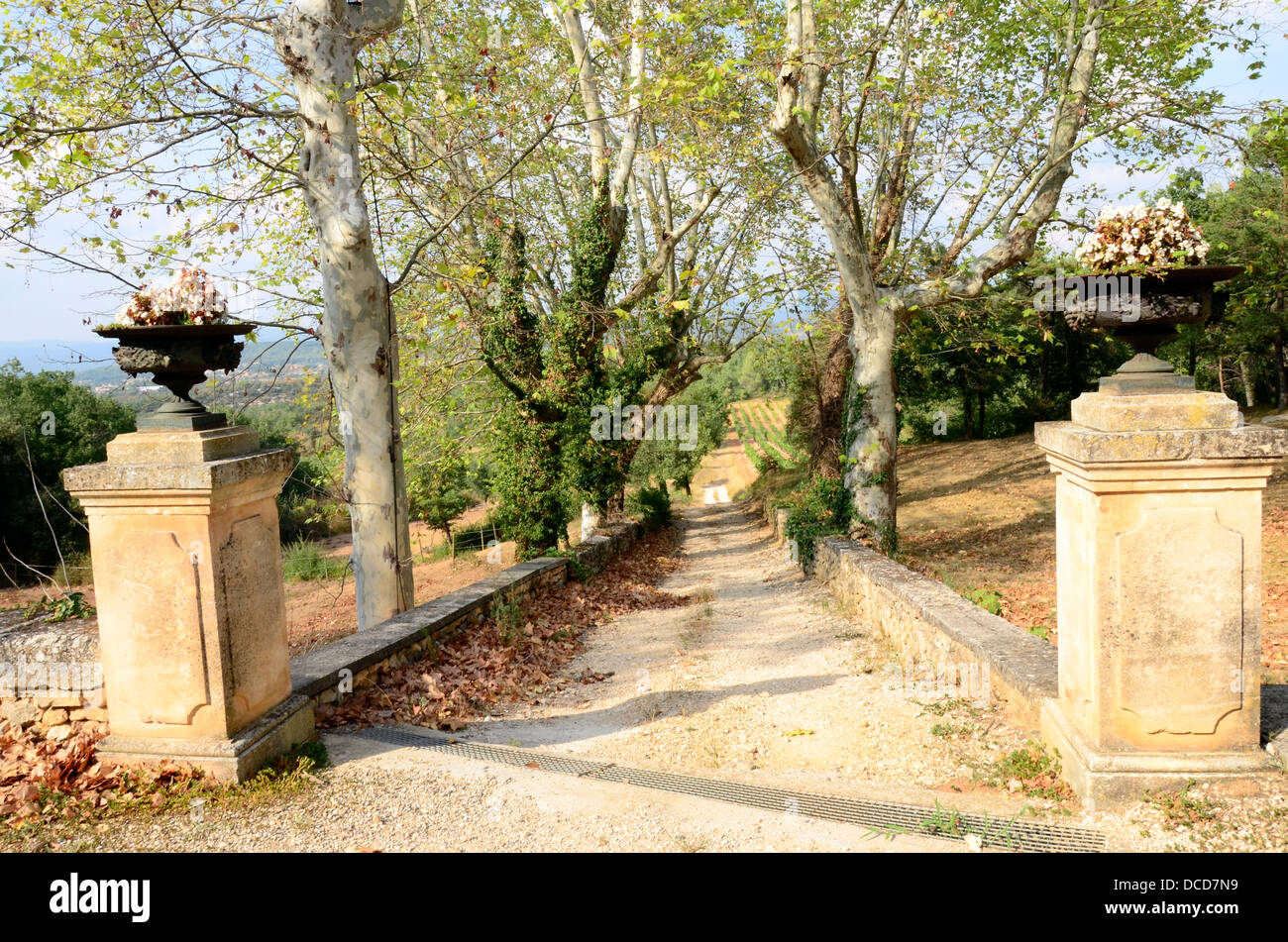 Château de Mille, Route de Bonnieux, AOC Luberon, Wein wachsende Vinyard Frankreich Stockfoto