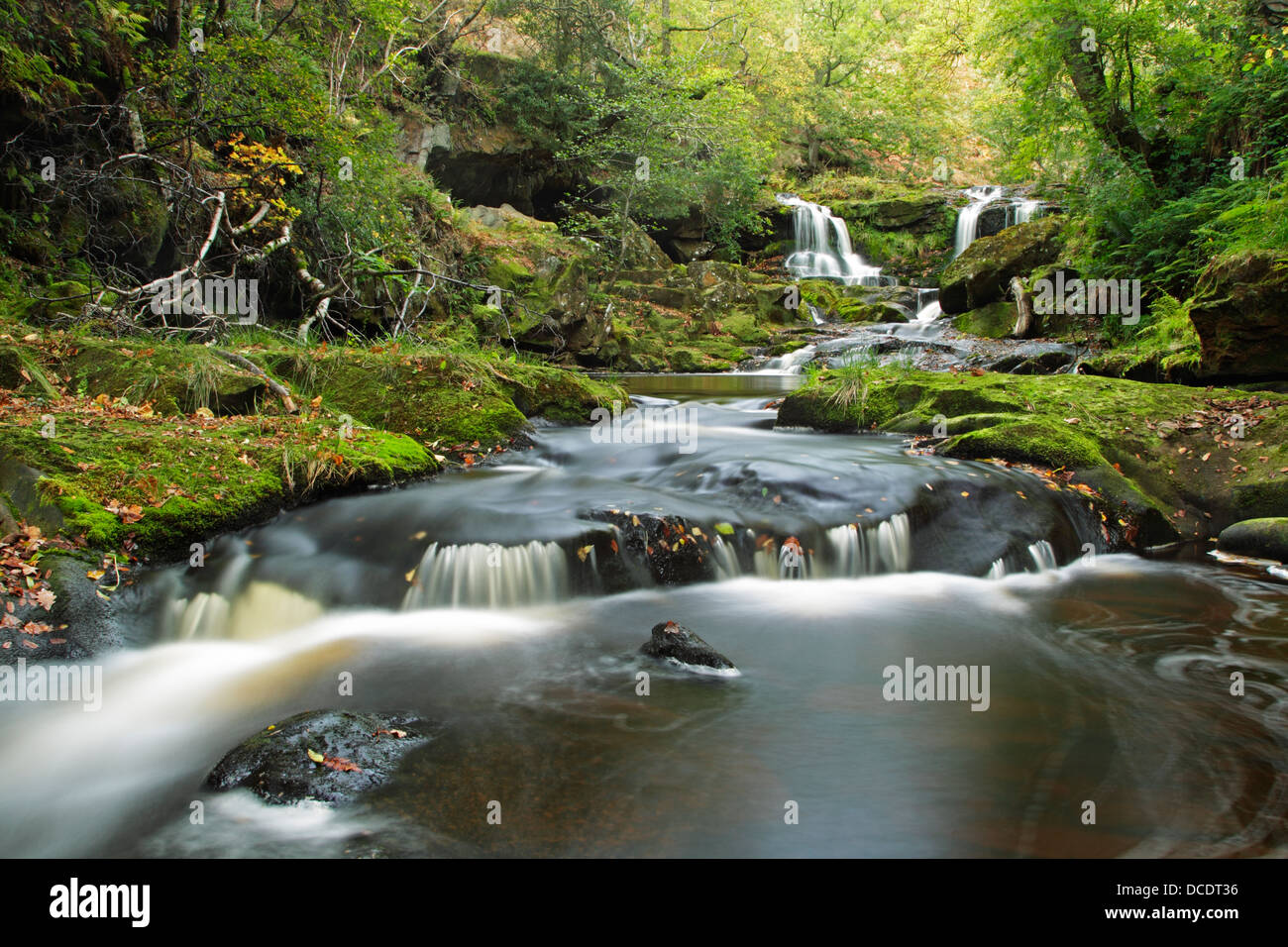 Eller Beck Kaskaden über eine Felsstufe am Thomason Foss bei Beck Loch in North York Moors National Park. Stockfoto