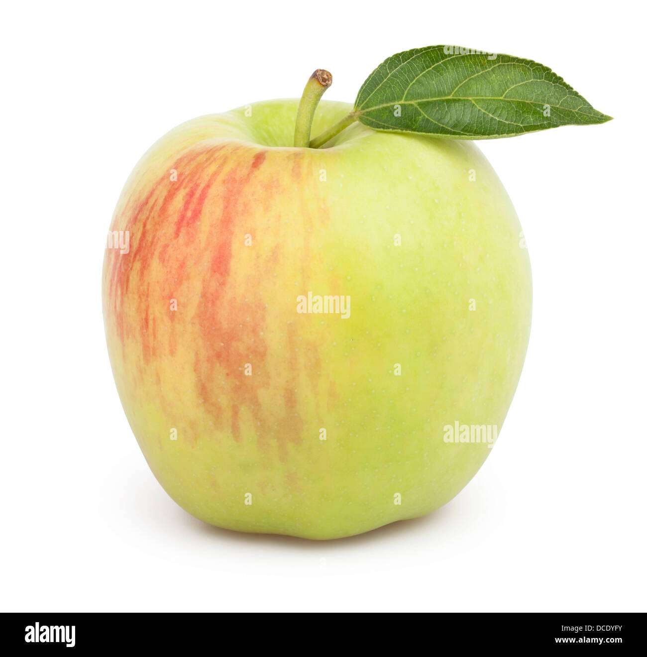 Apple ein Blatt auf weißem Hintergrund Stockfoto