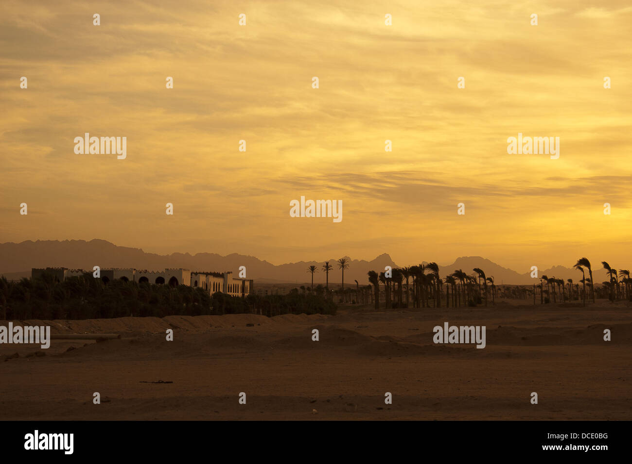 Sonnenuntergang in der Wüste - Palm-Silhouetten Stockfoto Sonnenuntergang in der Wüste - Palm-Silhouetten Stockfoto