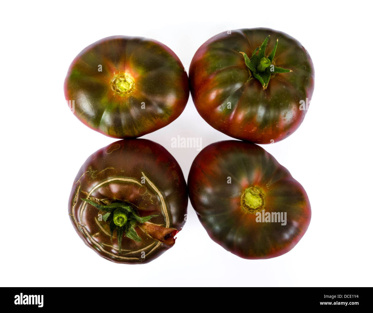 Frische schwarze Fleischtomaten präsentiert auf einem weißen Hintergrund Stockfoto