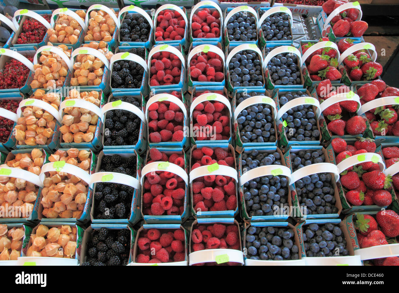 Früchte-Display, Jean Talon Market, Montreal, Quebec, Kanada Stockfoto