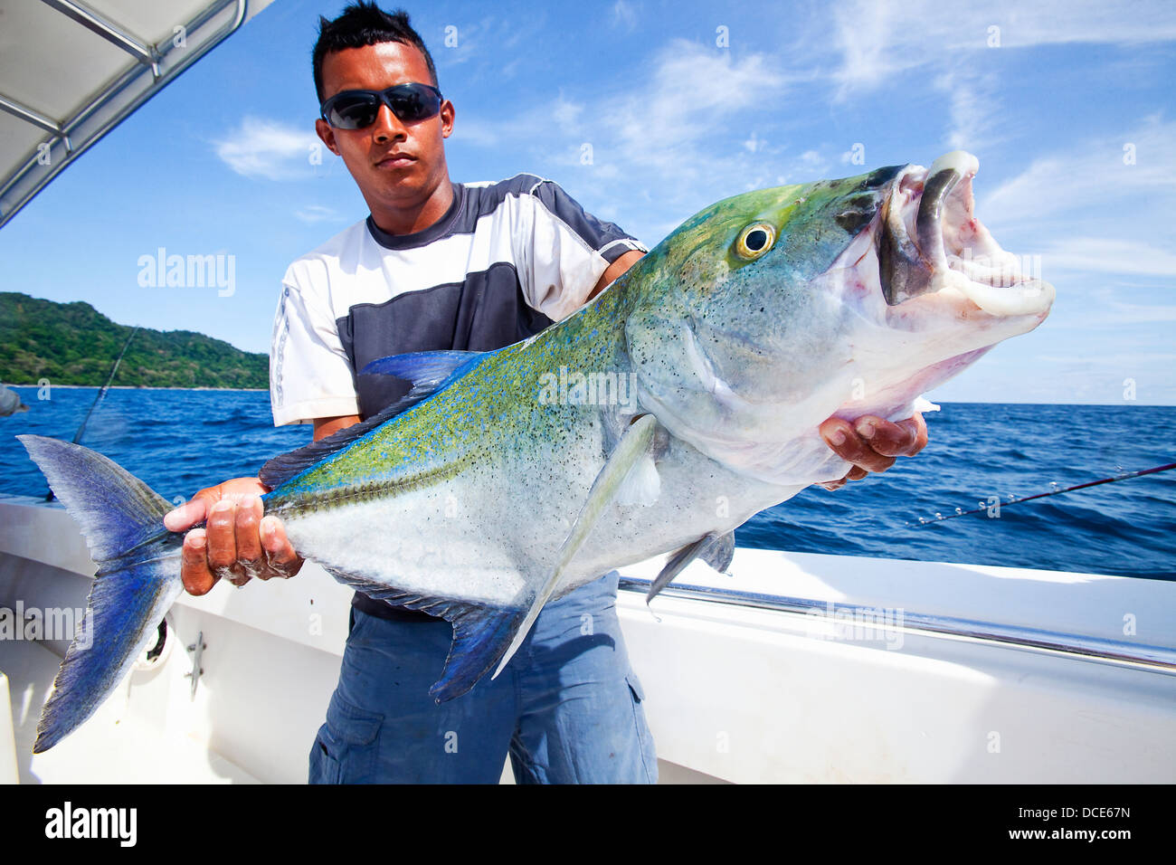 Mann, der einem Makrelenschwarm hält; Panama Stockfoto