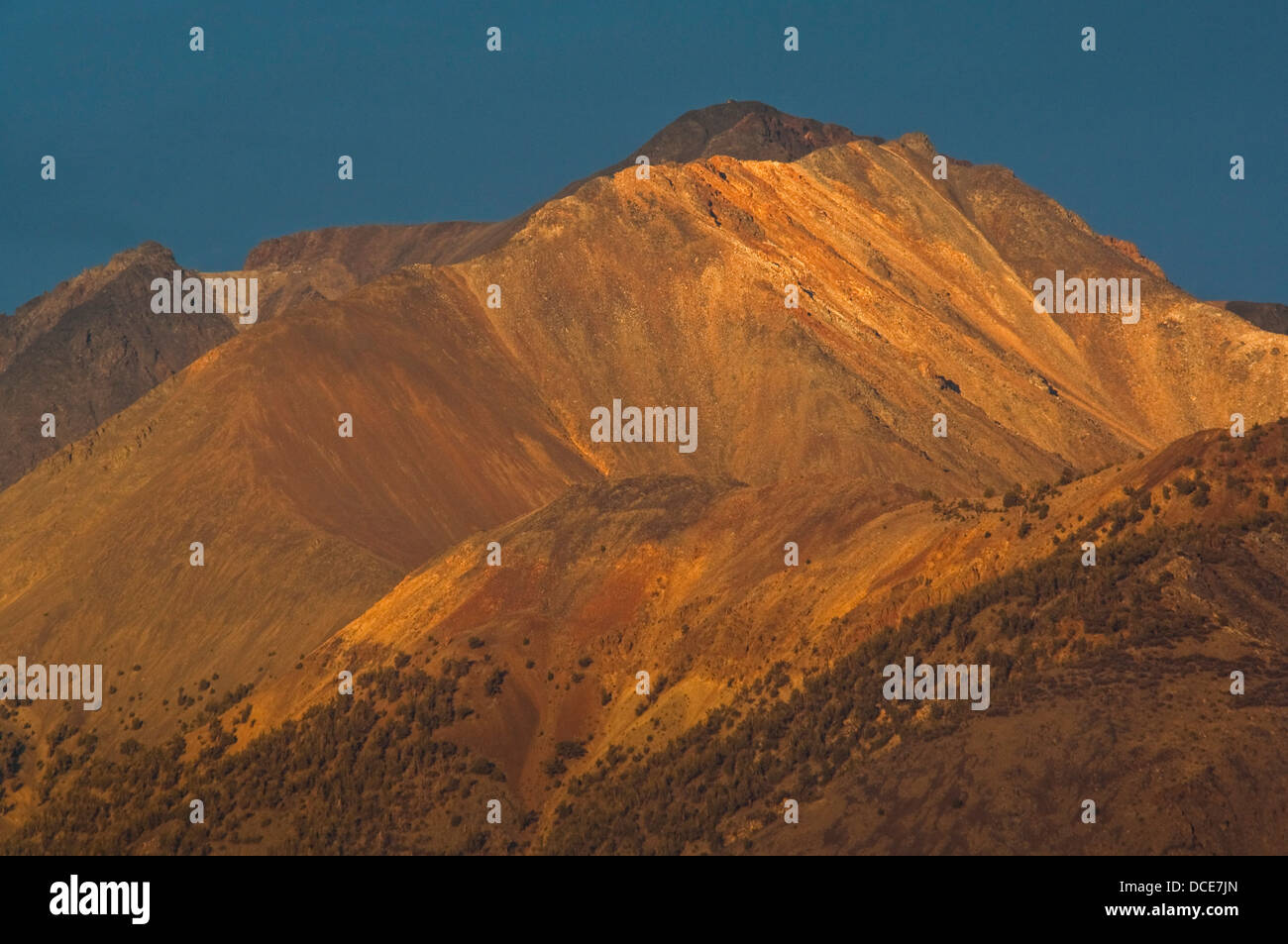 Abendlicht am Mt. Barcroft, weisse Berge, in der Nähe von Bischof California Stockfoto