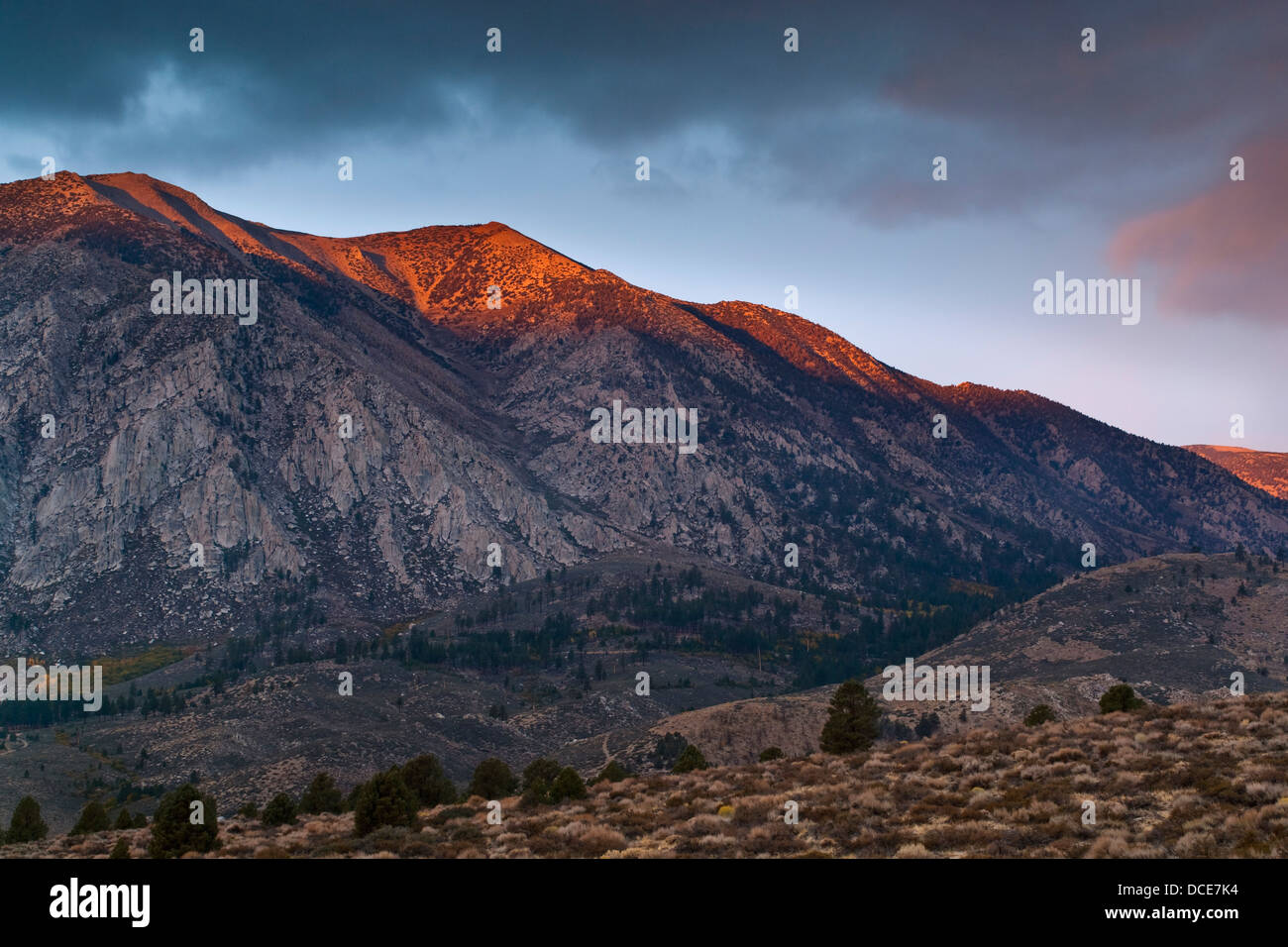 Zunächst Licht auf Wheeler Crest, östliche Sierra, Kalifornien Stockfoto