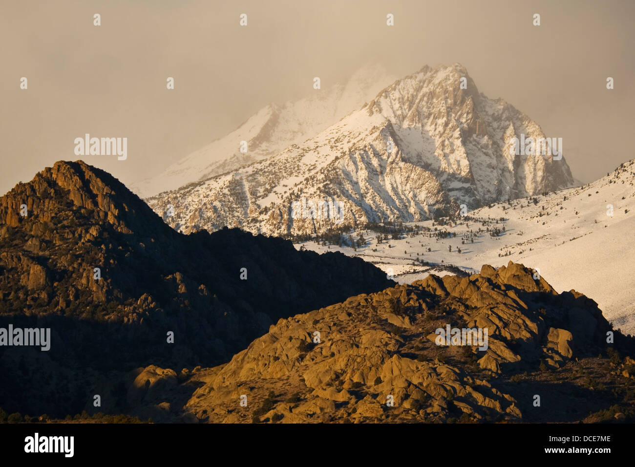 Schneesturm in den Bergen oberhalb von der Buttermilch Region, östliche Sierra, California Stockfoto