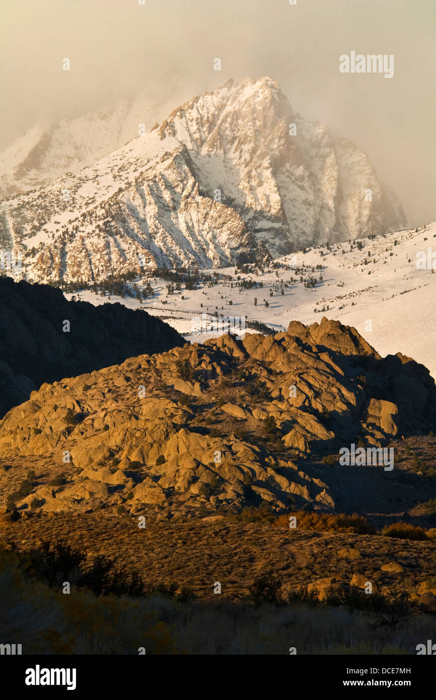 Schneesturm in den Bergen oberhalb von der Buttermilch Region, östliche Sierra, California Stockfoto