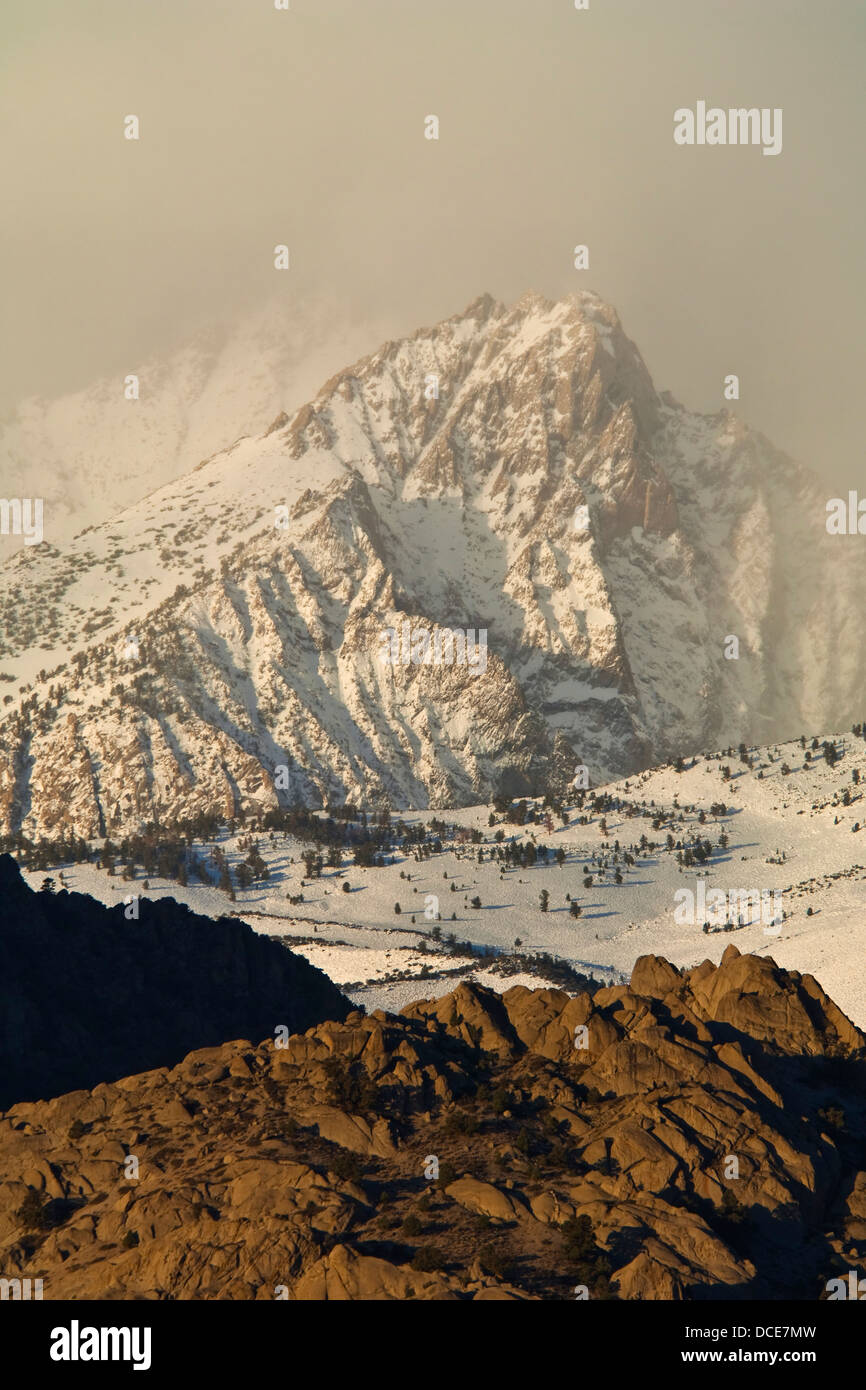 Schneesturm in den Bergen oberhalb von der Buttermilch Region, östliche Sierra, California Stockfoto