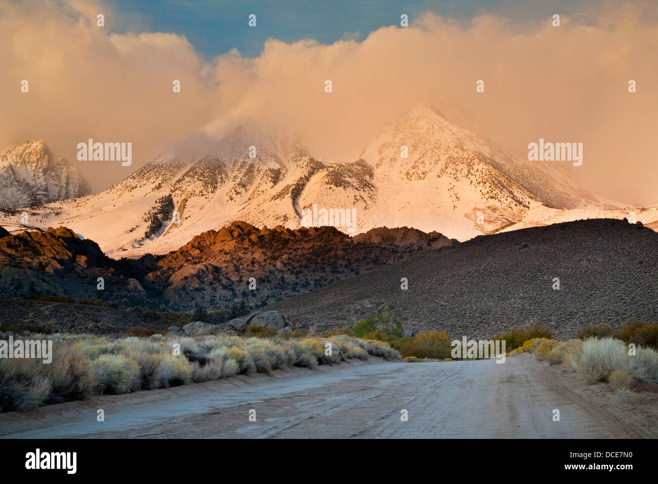 Schneesturm in den Bergen oberhalb von der Buttermilch Region, östliche Sierra, California Stockfoto