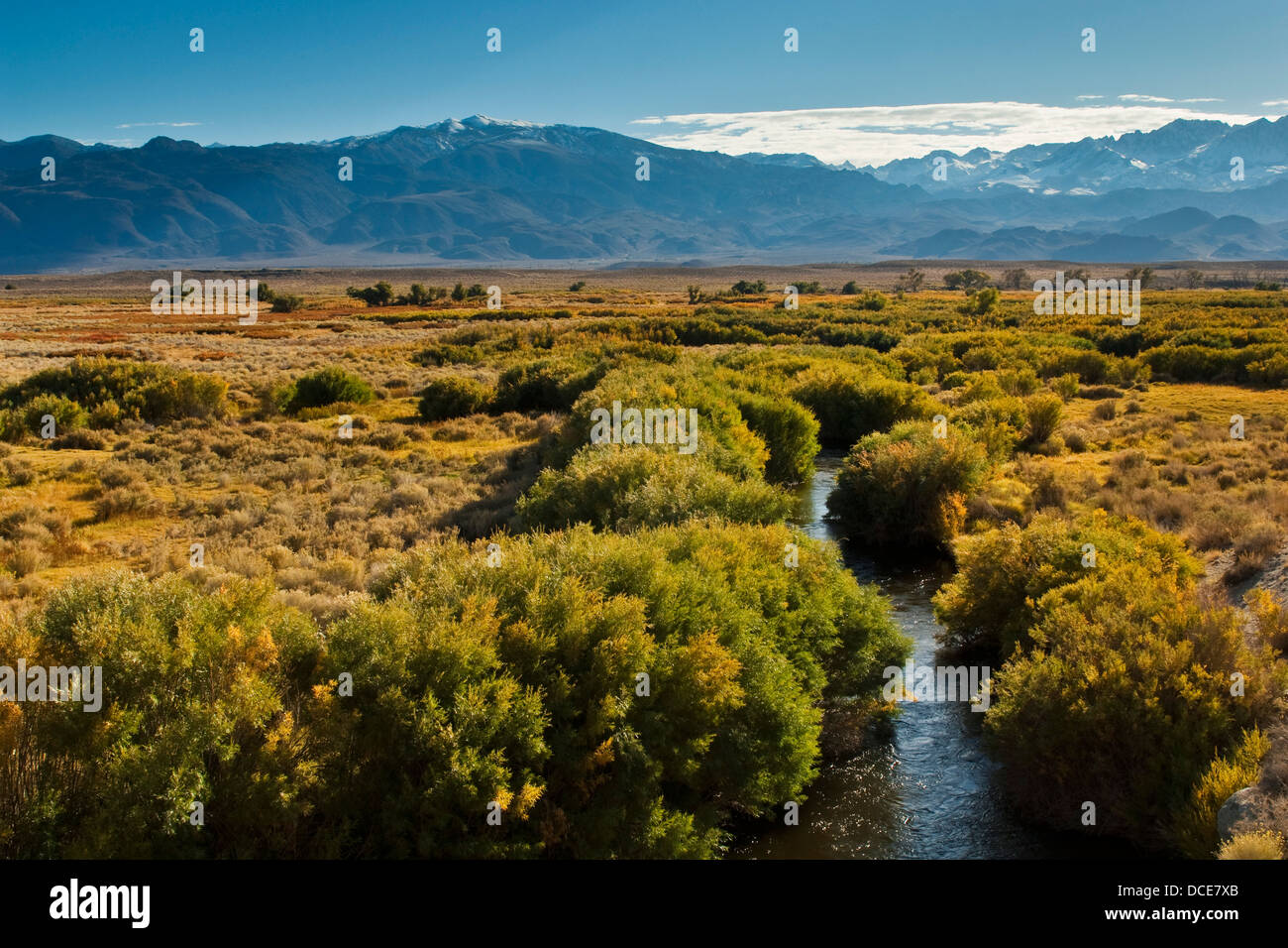 Owens River im Owens Valley, in der Nähe von Bishop, östliche Sierra, Kalifornien Stockfoto