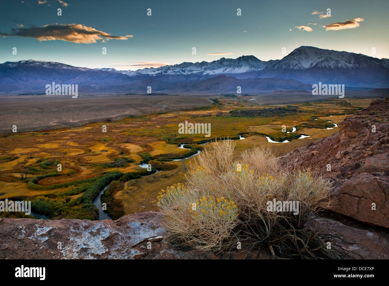 Owens River und Owens Valley, in der Nähe von Bischof, östliche Sierra, Kalifornien Stockfoto