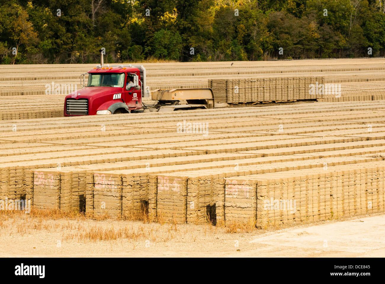 USA, Louisiana, St. Francisville, US Army Corps of Ingenieure-St. Francisville Matte Gießen Feld. Stockfoto