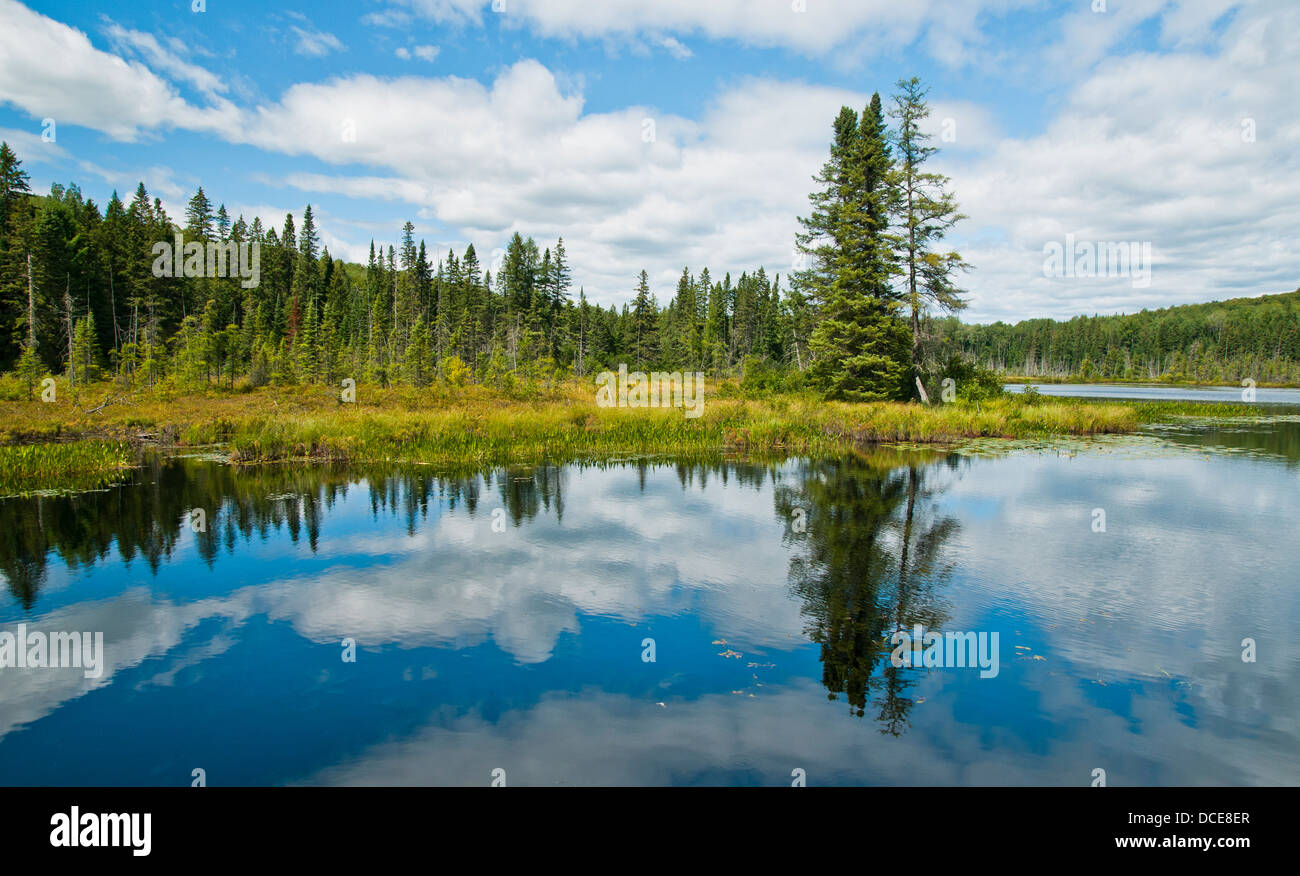 Einer der unzähligen nördlichen Seen Ontarios Stockfoto