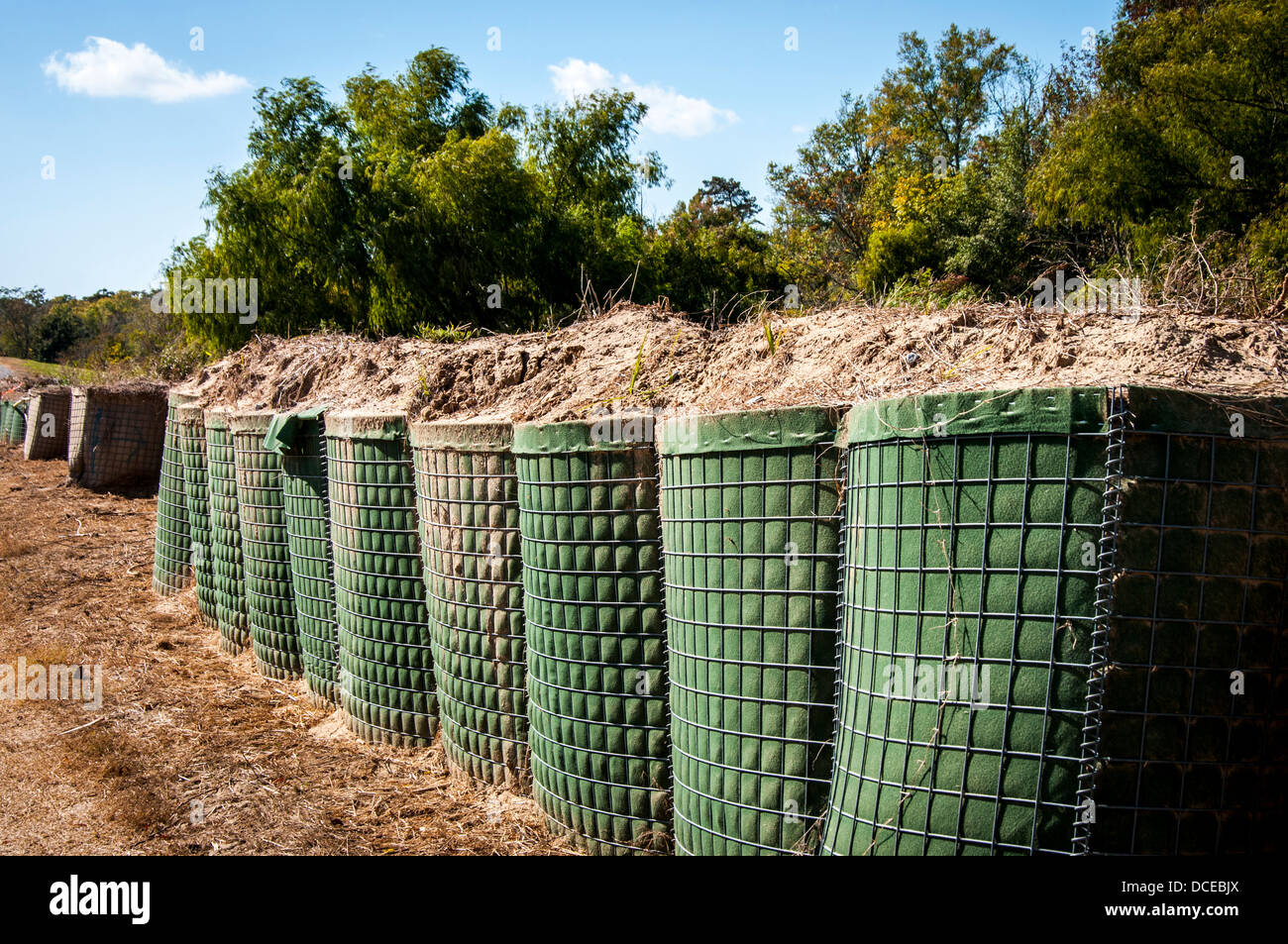 USA, Louisiana, Atchafalaya Basin, Gartenstadt, Bayou Teche NWR, gelbe