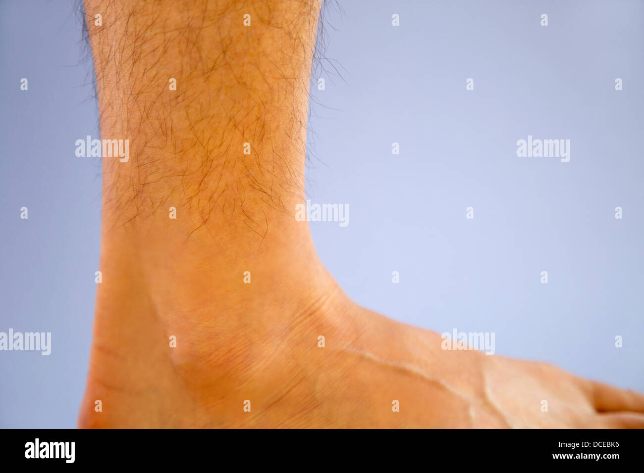 Erwachsene männliche rechten Knöchel Stockfoto